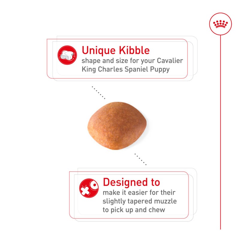 Royal Canin Breed Health Nutrition Cavalier King Charles Spaniel Puppy Dry Dog Food, 3 lb Bag - Image 2